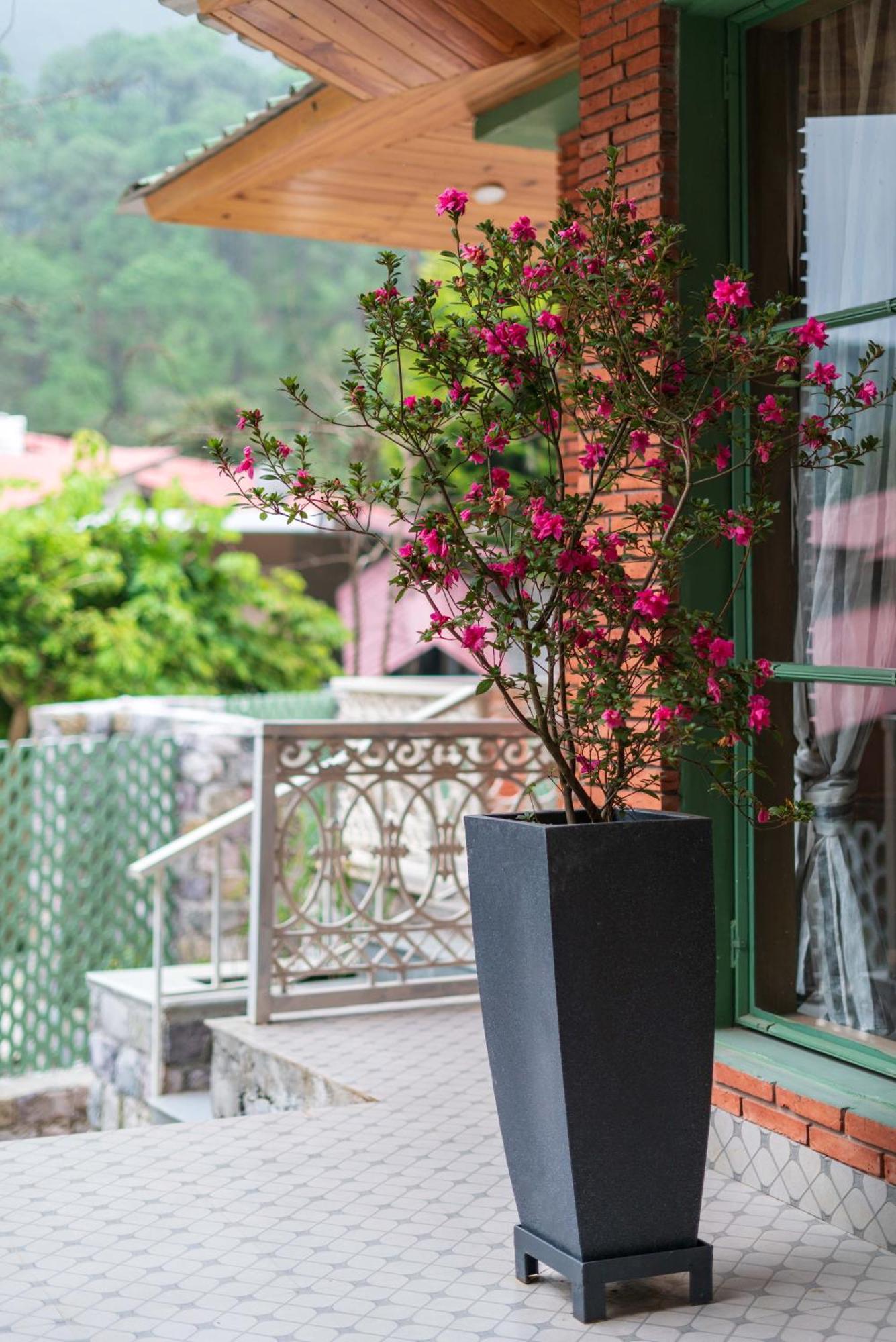 Casa Bhimtal Βίλα Εξωτερικό φωτογραφία